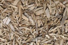 biomass boilers Charlcutt